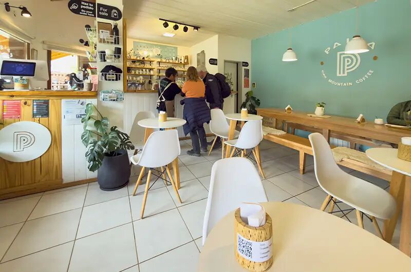 Salón con mesas blancas, plantas y barra de madera