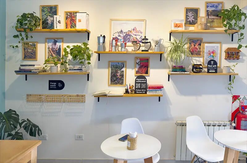 Pared con estantes, cuadros, libros y plantas en el salón
