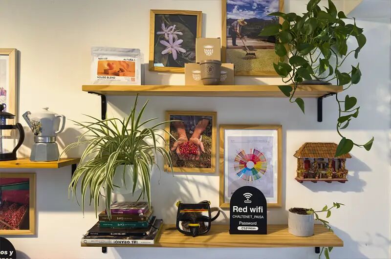 Estantes con cafeteras, cuadros y plantas