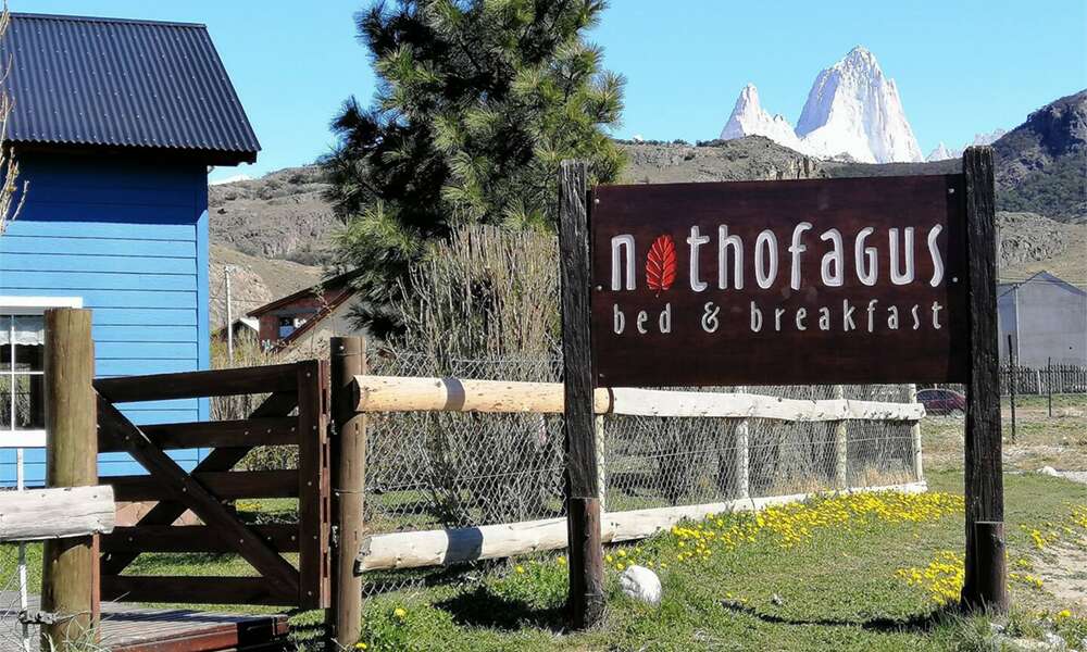 Nothofagus B&B - photo 1 of 10