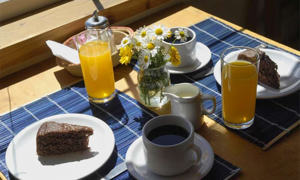 Nothofagus B&B - photo 10 of 10