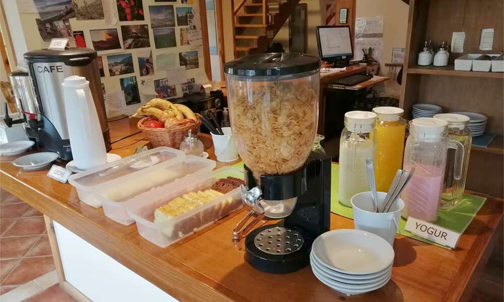 Nothofagus B&B - photo 9 of 10